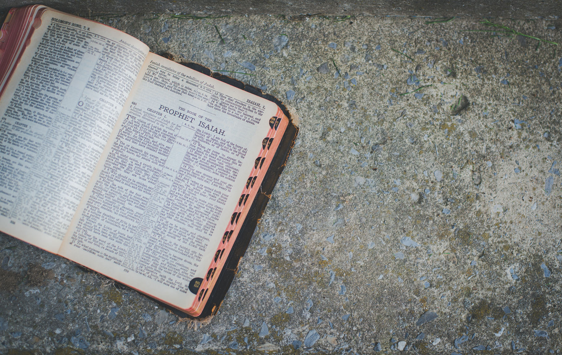 000050_Lightstock_howeler_may11--144-