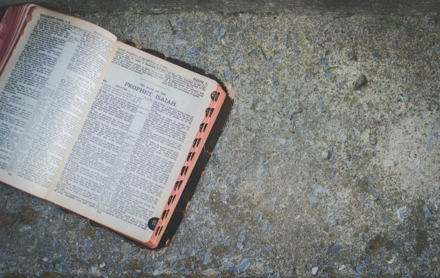 000050_Lightstock_howeler_may11--144-